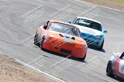 media/Feb-26-2023-Speed Ventures (Sun) [[7ac2dc7a13]]/1-SSC Spec vett race/session 1 turn 3/